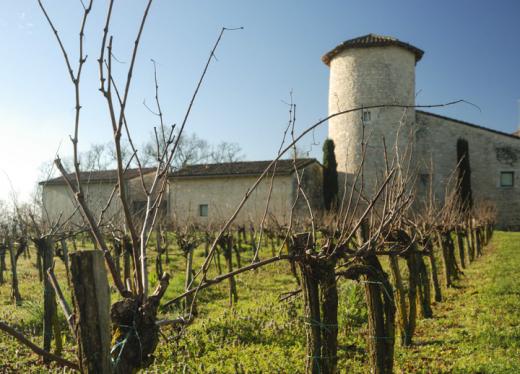 Château de Salettes, Gaillac. By Pauline Gauthier